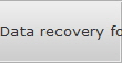 Data recovery for Austin data